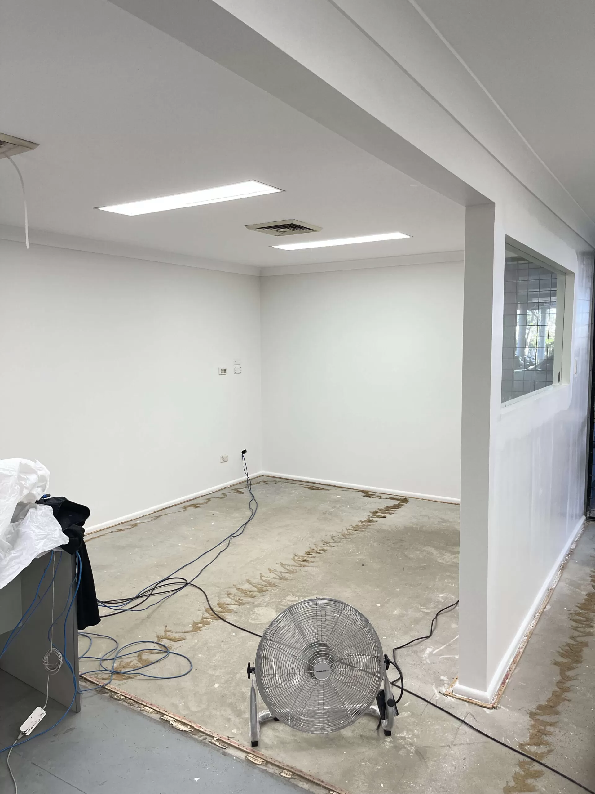 Interior Residential Painting